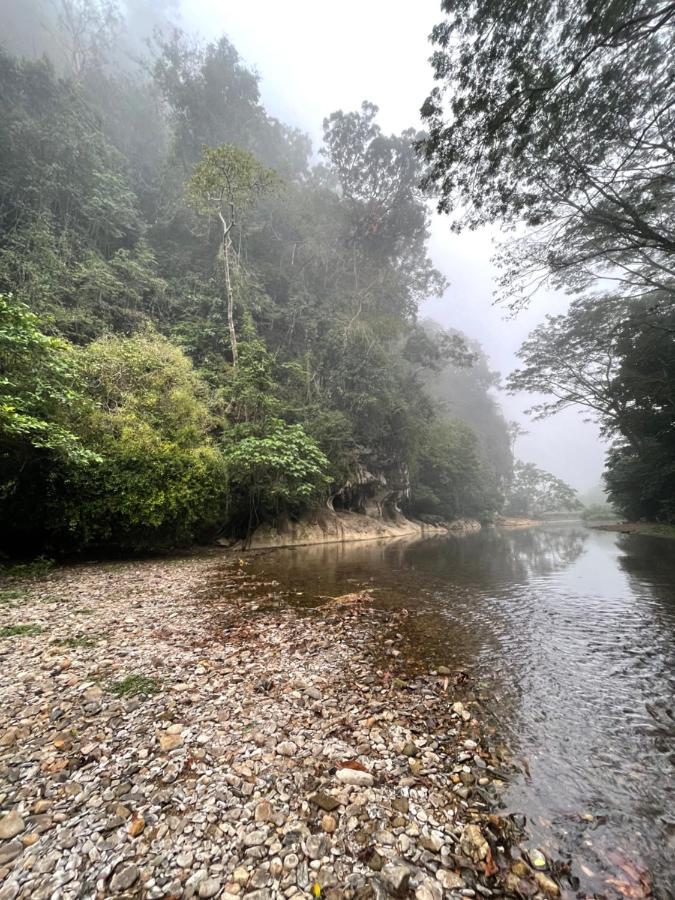 Khaosok Monkeys & River Camps Khao Sok National Park エクステリア 写真