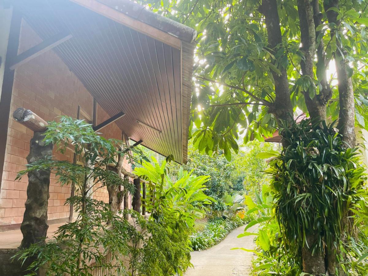 Khaosok Monkeys & River Camps Khao Sok National Park エクステリア 写真